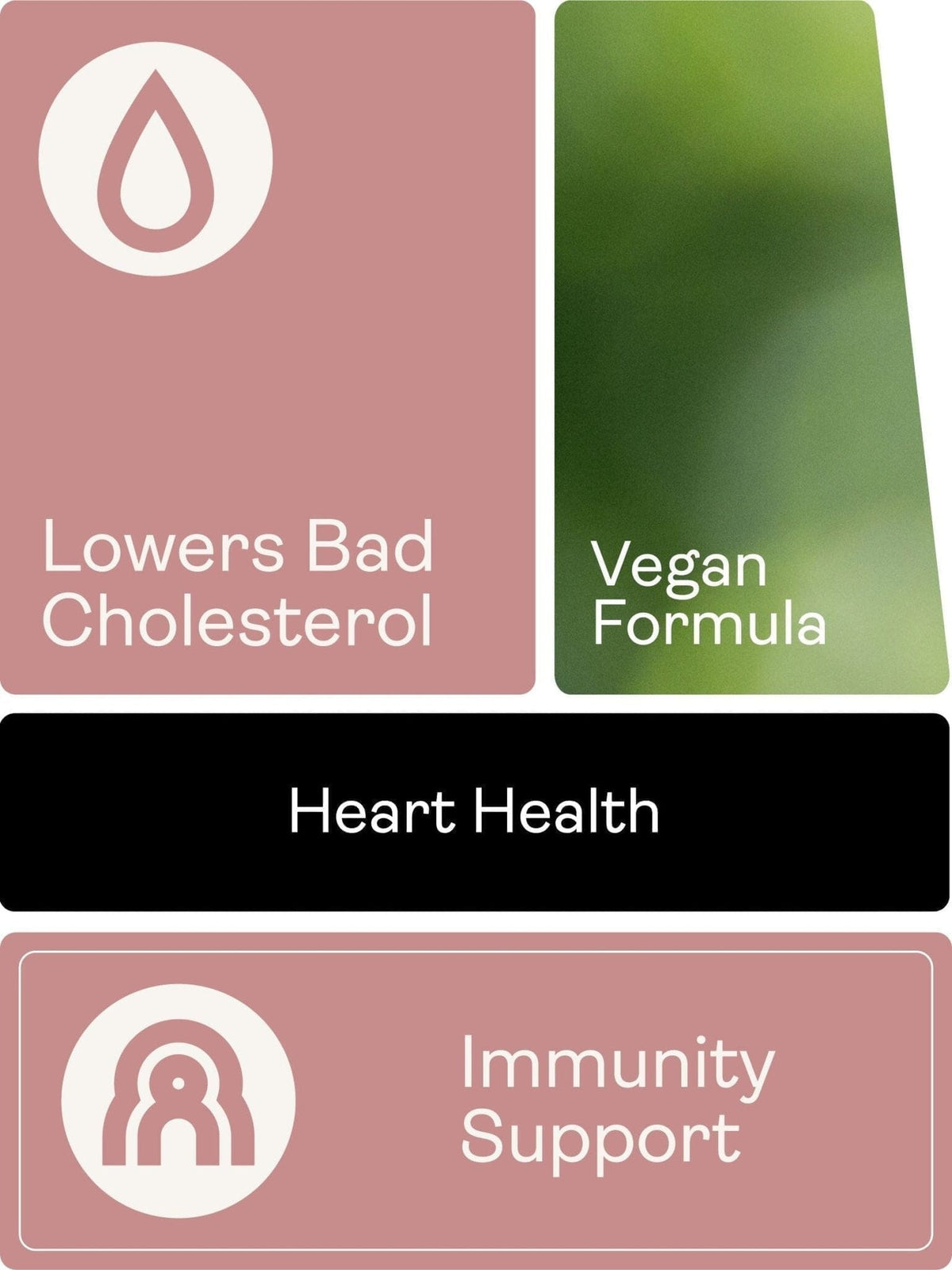 Fytosteroly - 90 kapslí - Youth & Earth EU Store