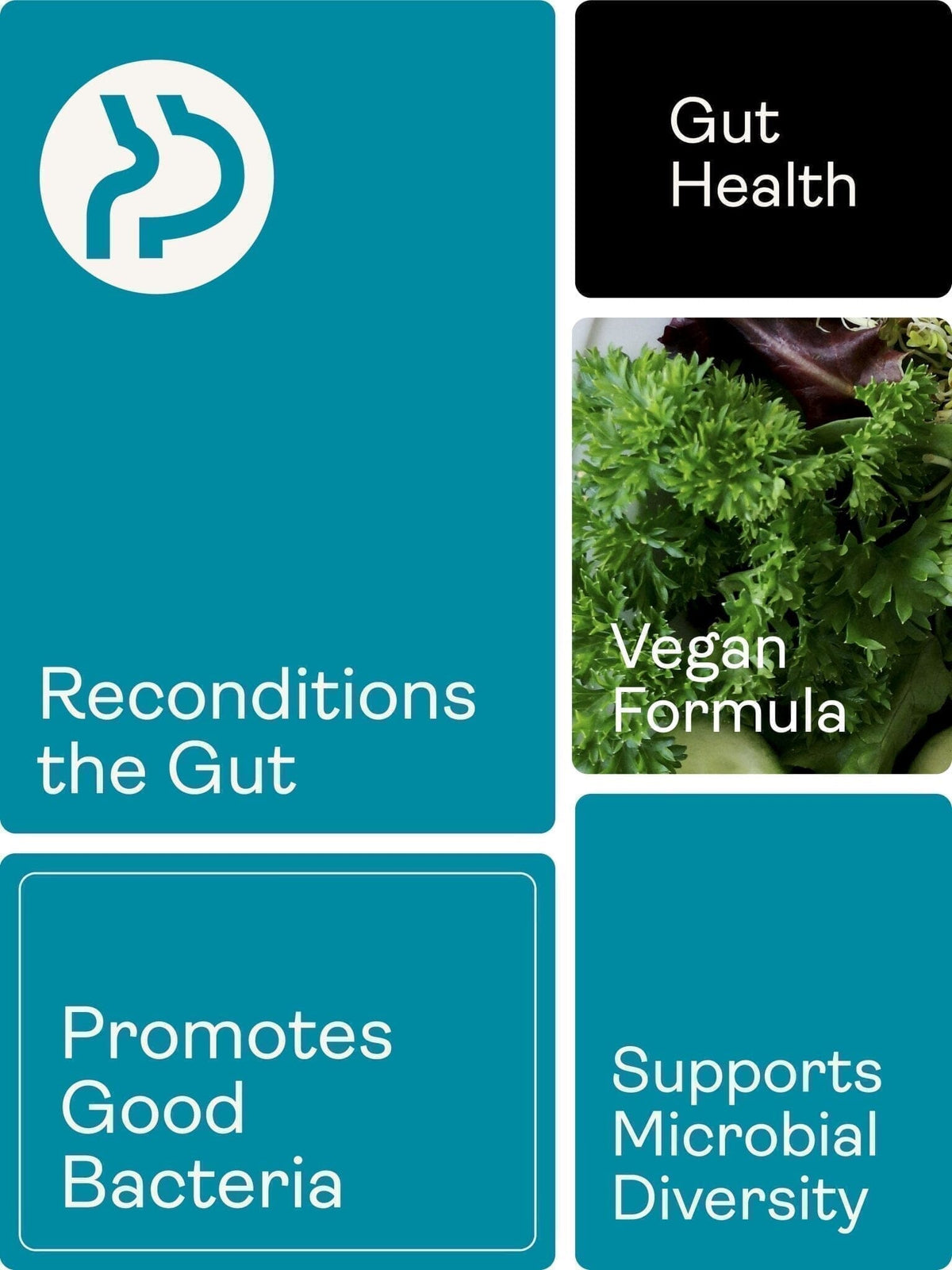 Spore Probiotic (Bacillus Subtilis HU58®, Coagulans SC208 & Clausii SC109) 4 miliardy CFU - 60 kapslí - Youth & Earth EU Store