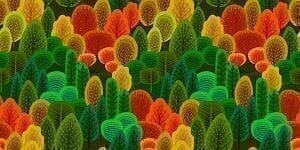 Berberin: Das ultimative Anti-Aging-Antioxidans für Langlebigkeit
