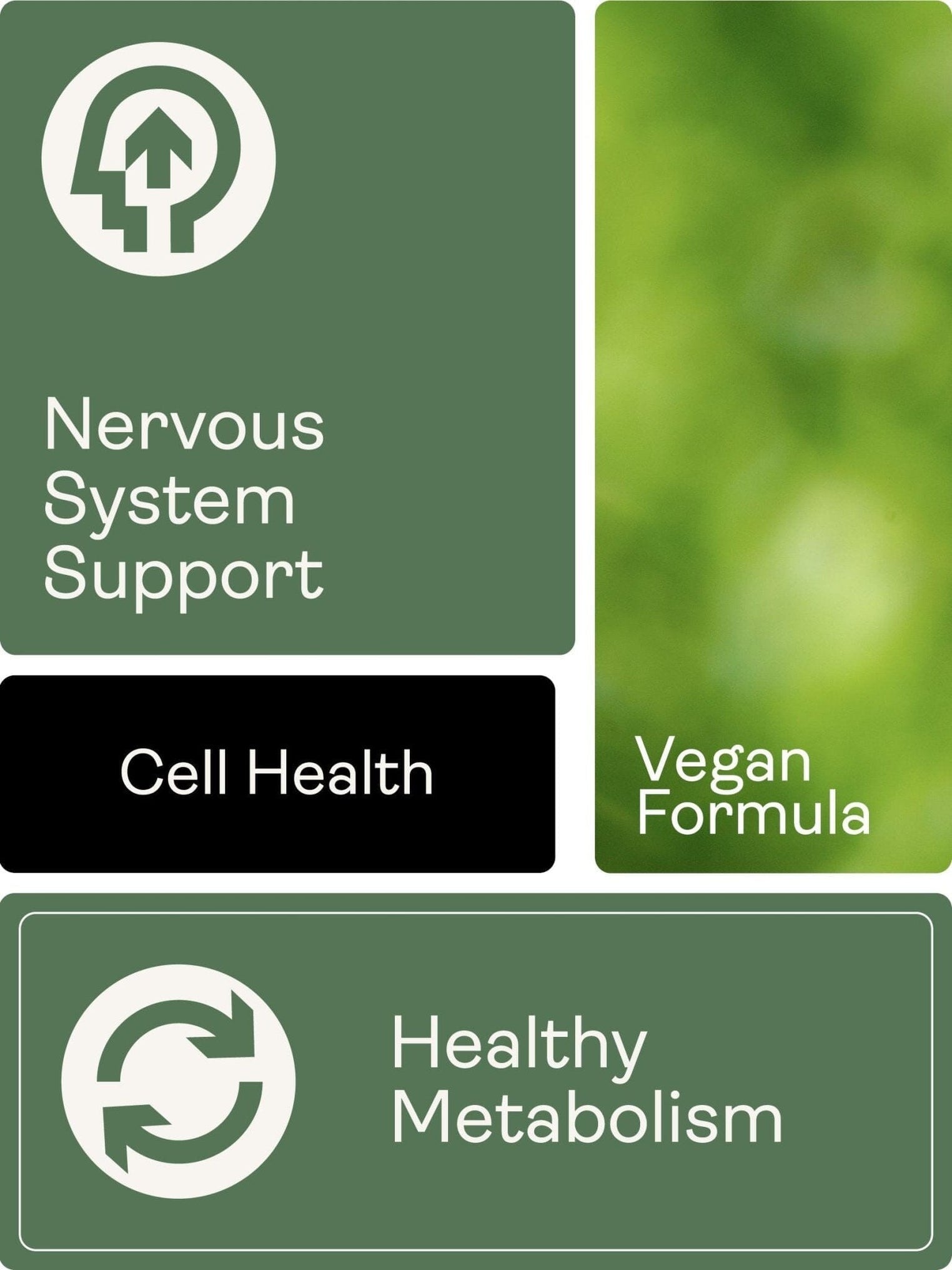 Liposomaler Vitamin-B-Komplex mit 5-MTHF-Folat (Mango- und Orangengeschmack, 250 ml) – Youth & Earth EU Store