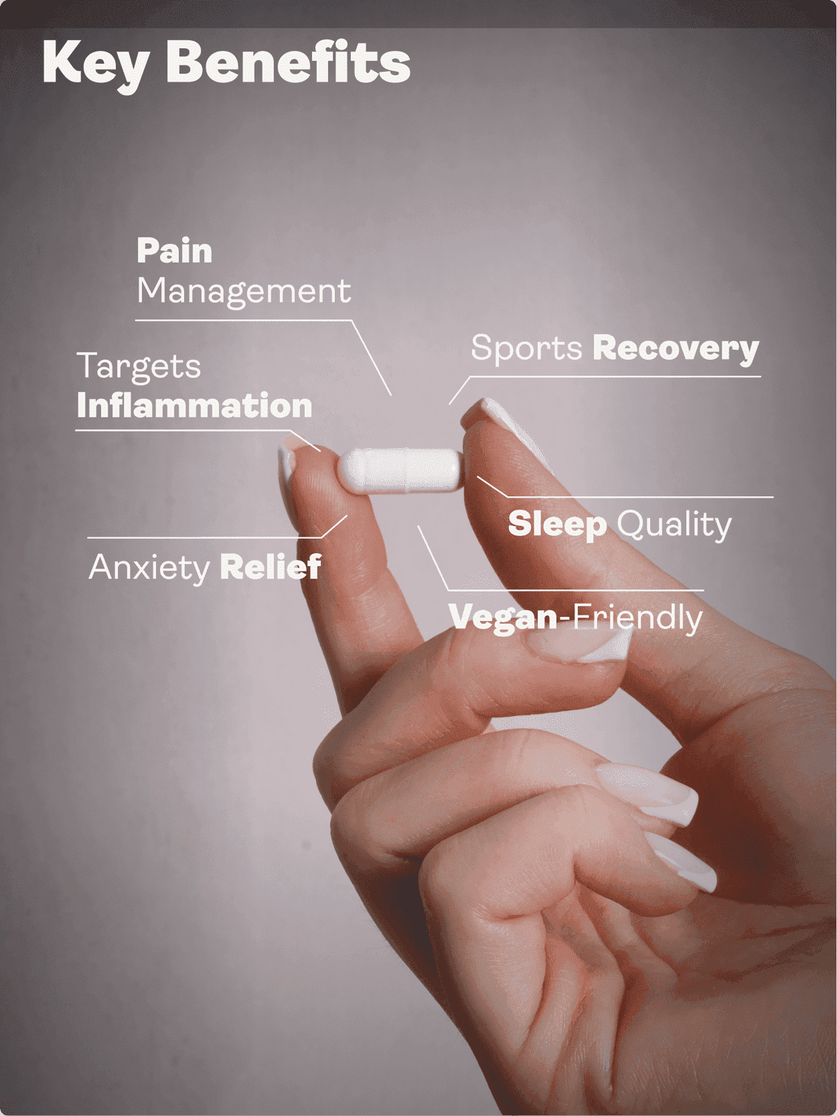PEA (Palmitoylethanolamid) Mikronisiert - 400mg, 60 Kapseln - Youth & Earth EU Store