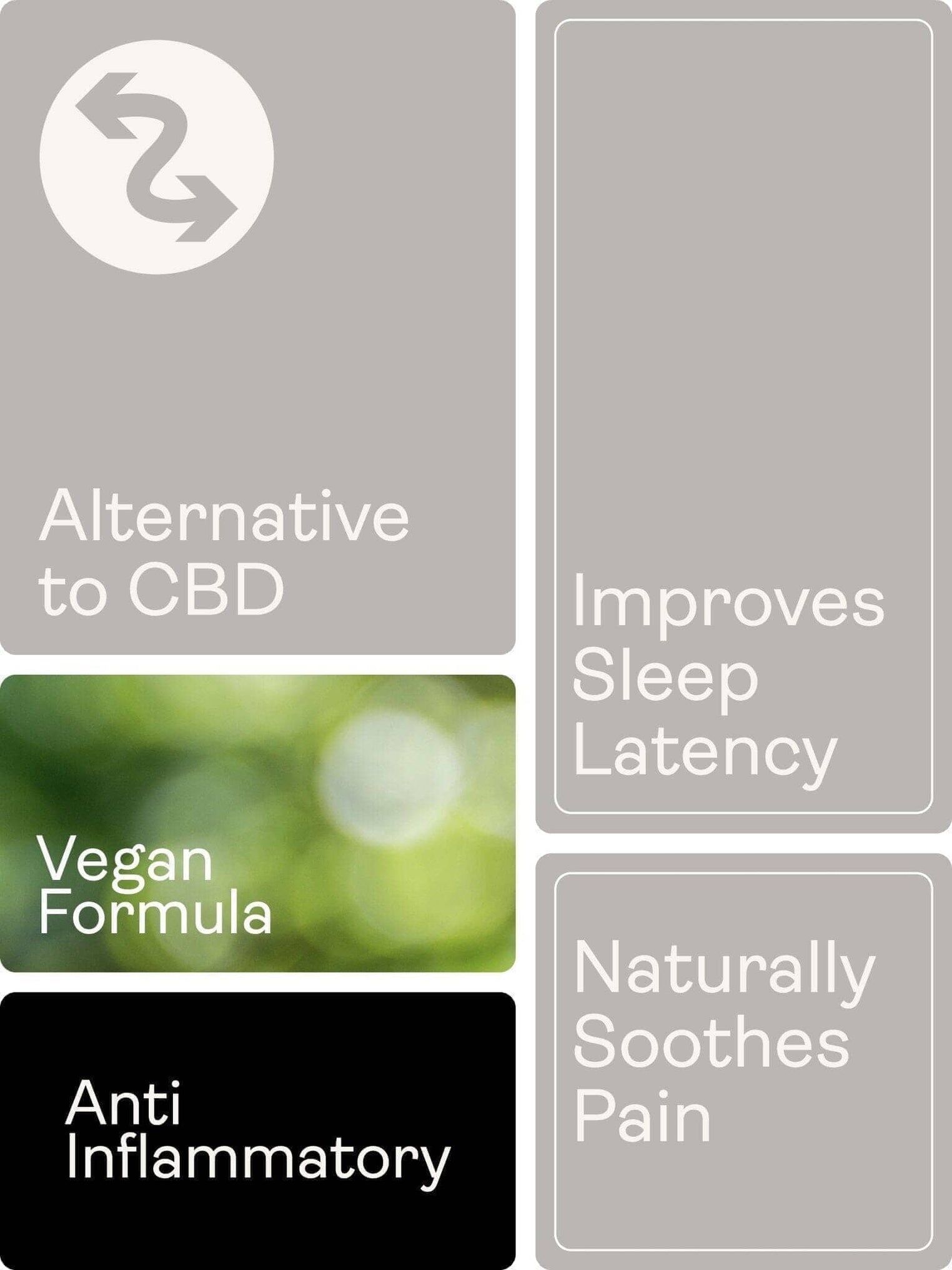 PEA (Palmitoylethanolamid) Mikronisiert - 400mg, 60 Kapseln - Youth & Earth EU Store