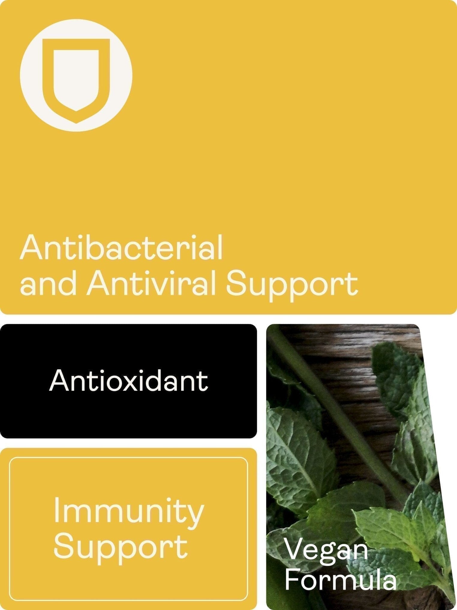 Garlic Extract (Allicillin) Extra Strength, 60 cápsulas (suministro para 2 meses) - Youth & Earth EU Store