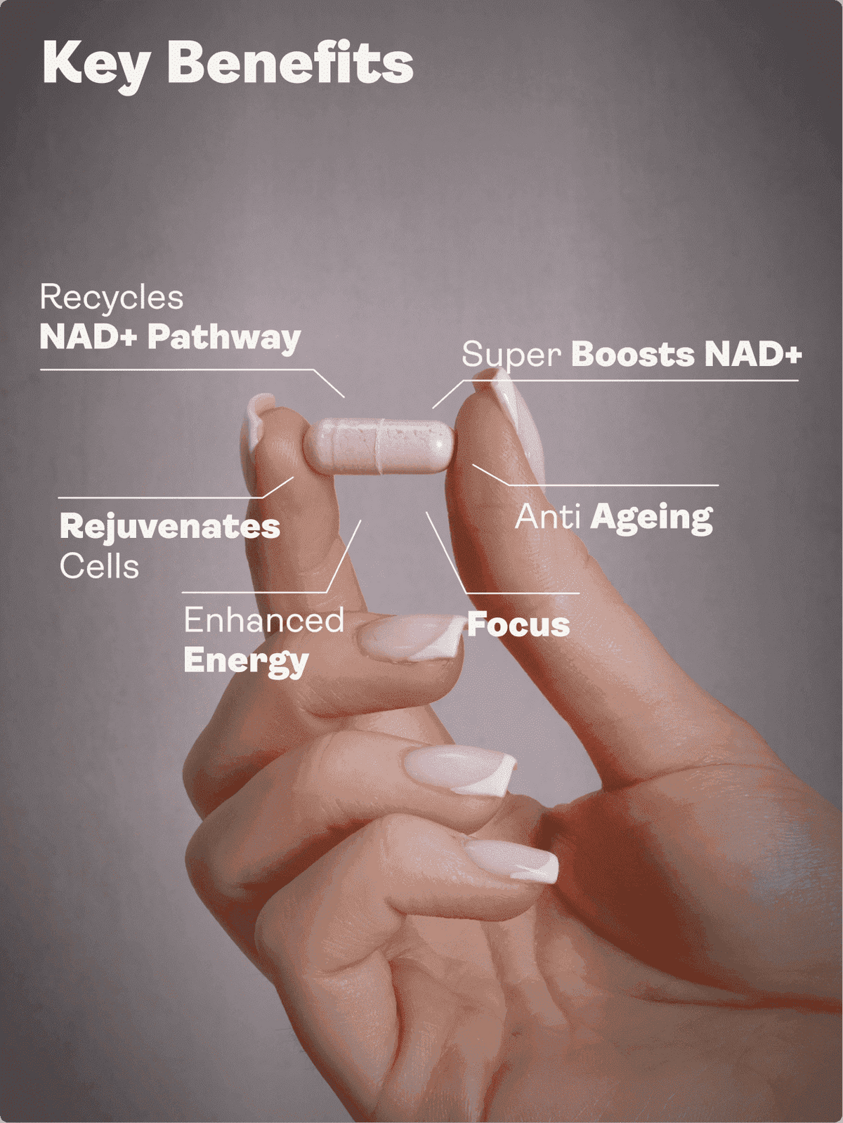 NAD Max - 460mg, 60 Cápsulas - Youth & Earth EU Store