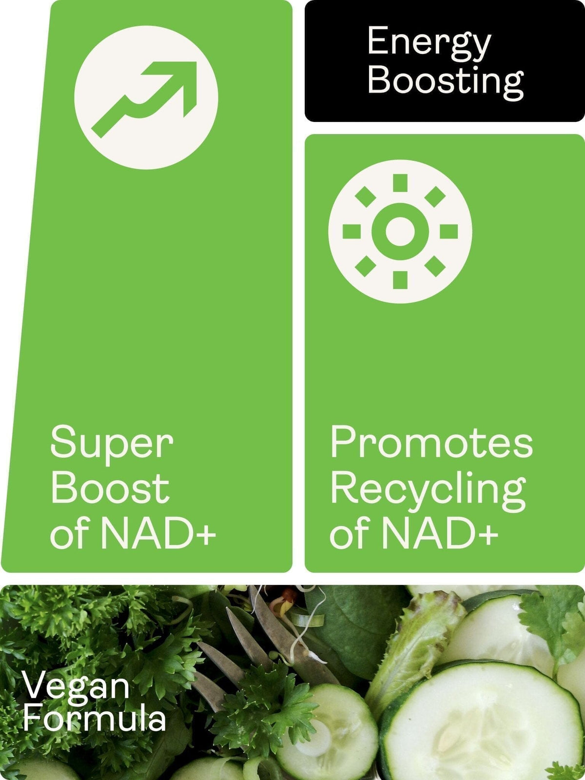 NAD Max - 460mg, 60 Cápsulas - Youth & Earth EU Store