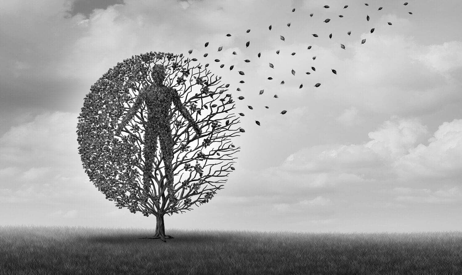 Comment les Sirtuines et le NAD+ favorisent la longévité