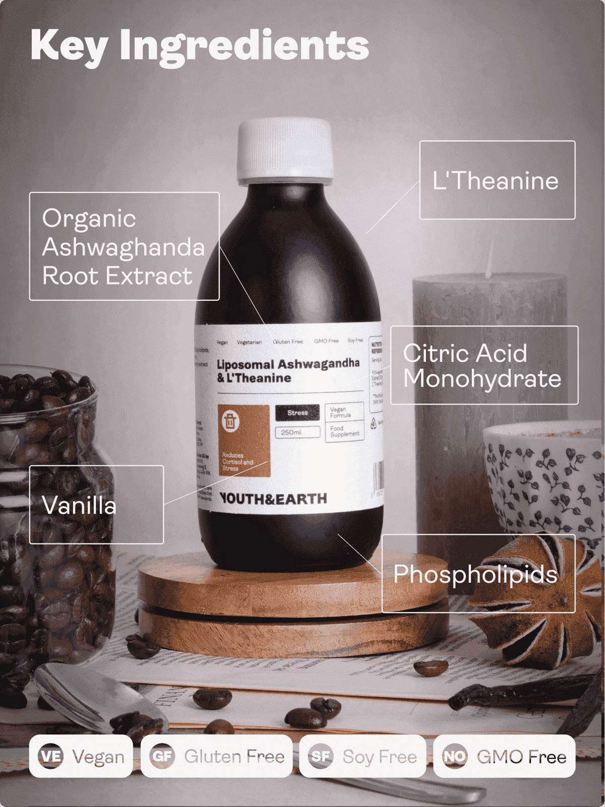Liposomal Ashwagandha 200mg & L'Theanine 200mg - Arôme café et vanille, 250ml - Youth & Earth EU Store