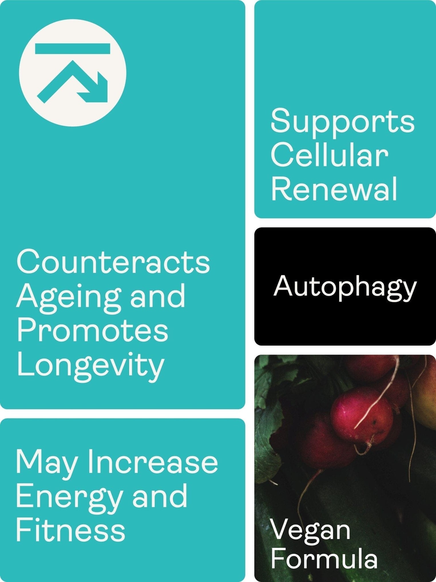 Spermidine liposomale 5.49mg x 60 Capsules - Youth & Earth EU Store