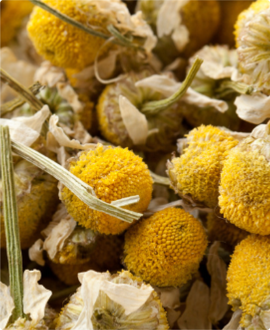 Immagine dell'ingrediente del prodotto