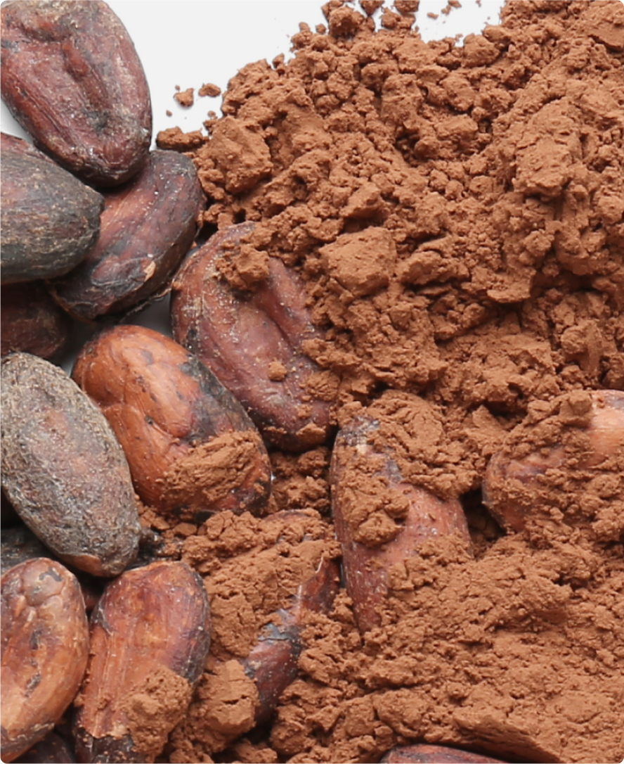 Immagine dell'ingrediente del prodotto