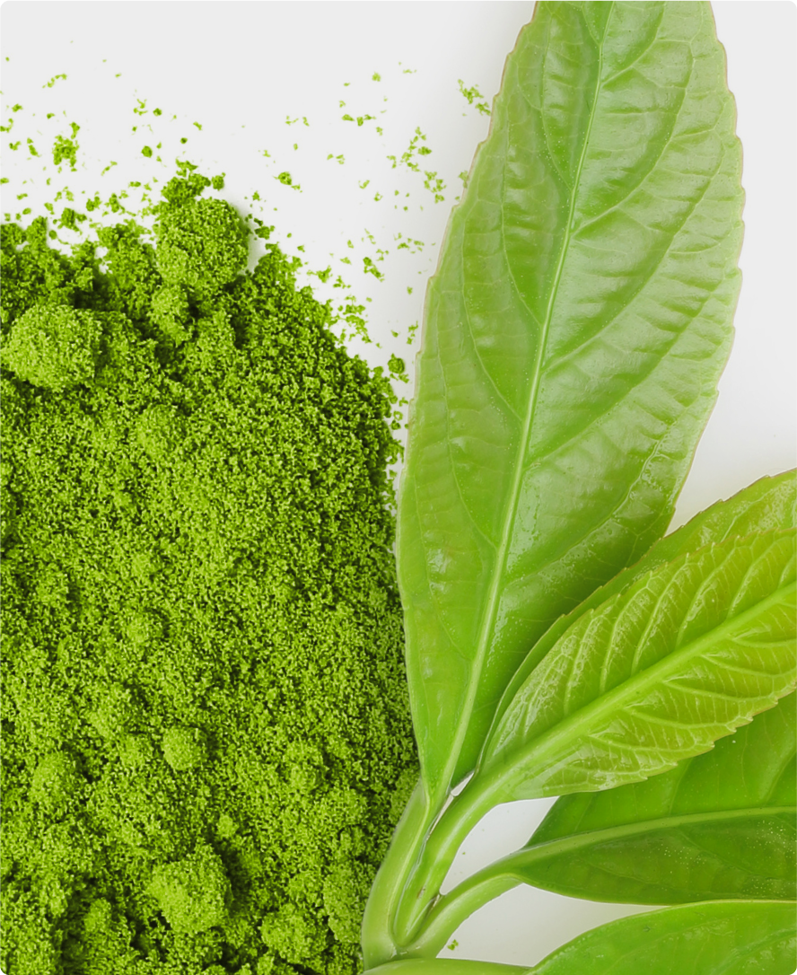 Immagine dell'ingrediente del prodotto