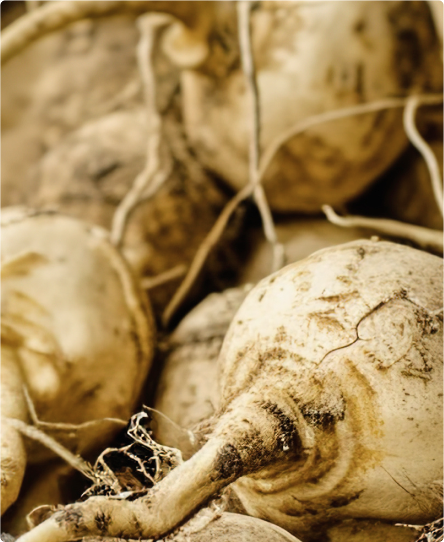 Immagine dell'ingrediente del prodotto