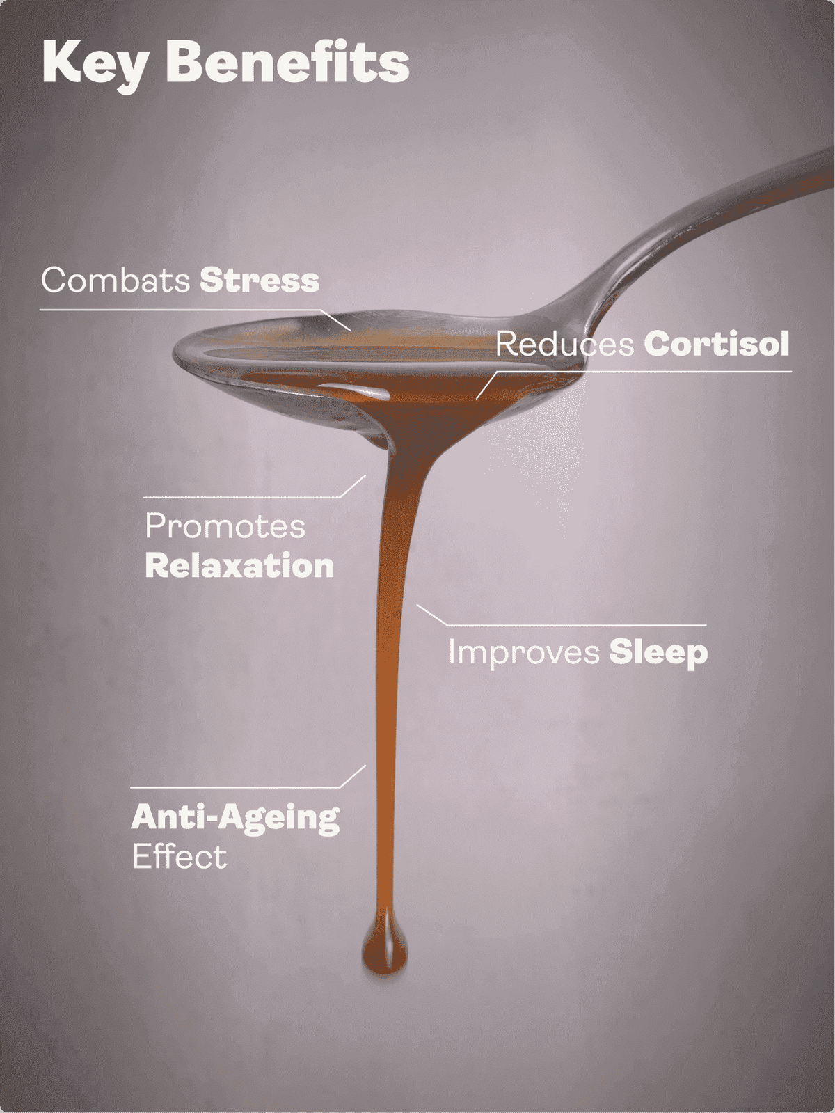 Ashwagandha liposomiale 200mg e L'Theanine 200mg - Gusto caffè e vaniglia, 250ml - Gioventù e Terra EU Store