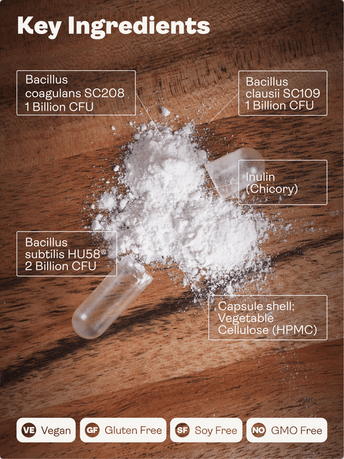 Spore probiotiche (Bacillus Subtilis HU58®, Coagulans SC208 e Clausii SC109) 4 miliardi di UFC - 60 Capsule - Gioventù e Terra EU Store