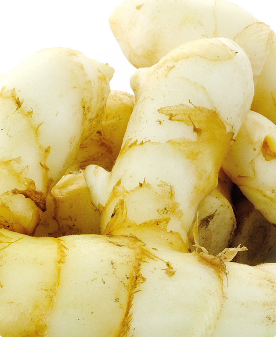 Immagine dell'ingrediente del prodotto