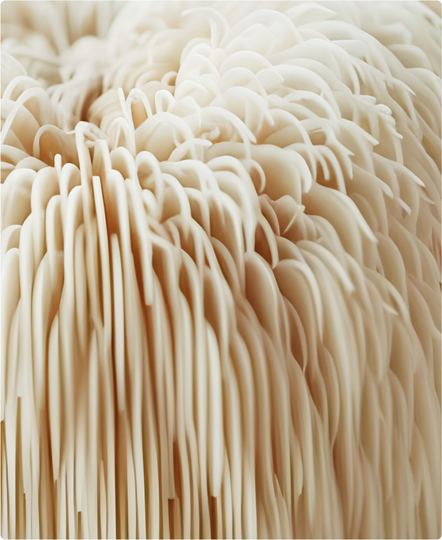 Imagem do ingrediente do produto