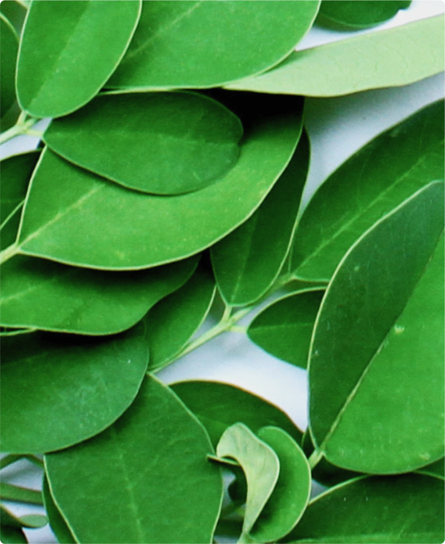 Imagem do ingrediente do produto