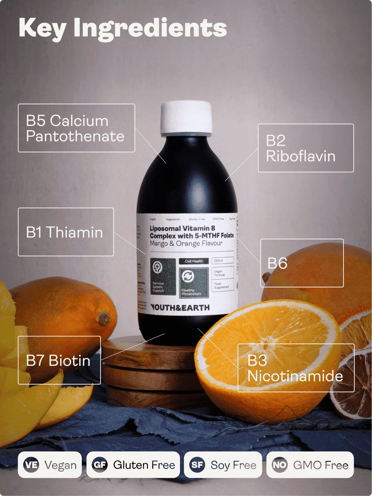 Liposomalt vitamin B-komplex med 5-MTHF Folat (Mango- och apelsinsmak, 250 ml) - Youth & Earth EU Store